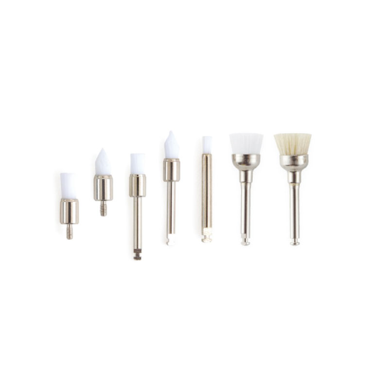 Prophy brush